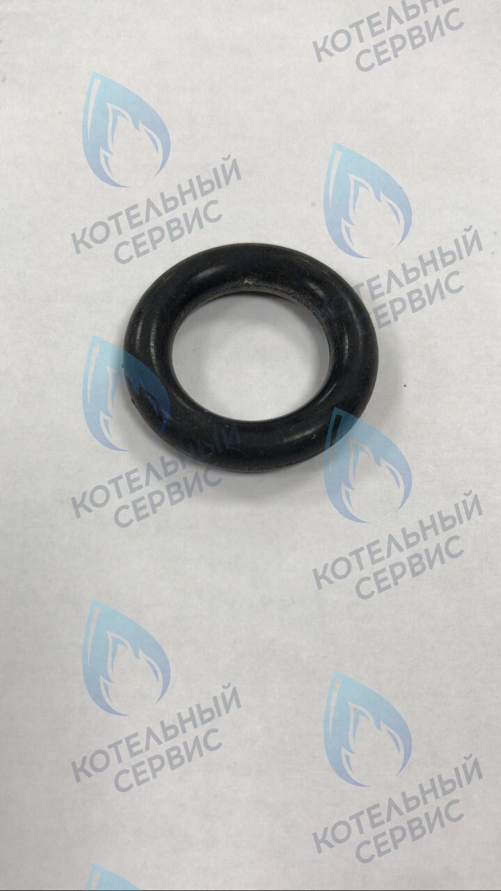 39864460 Прокладка O-ring циркуляционного насоса FERROLI в Казани